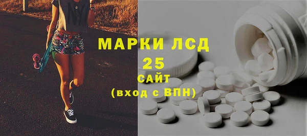 ПСИЛОЦИБИНОВЫЕ ГРИБЫ Алзамай