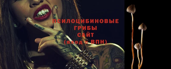 ПСИЛОЦИБИНОВЫЕ ГРИБЫ Алзамай