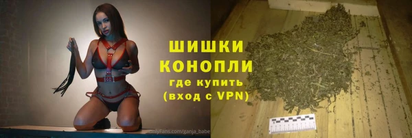 молекула духа Медногорск